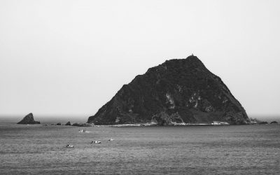 Le futur sera cohérent